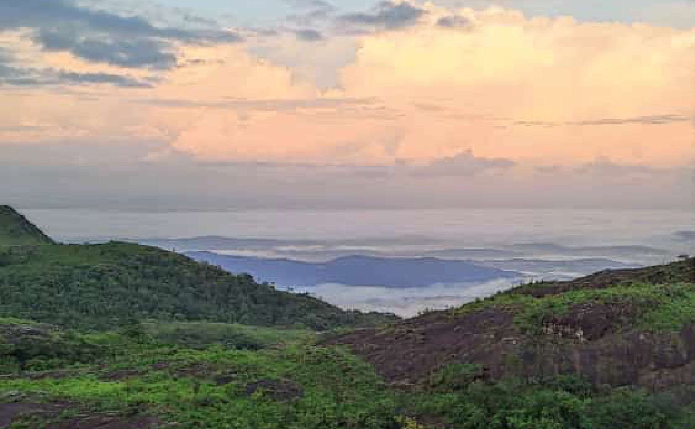 ILAVEEZHAPOONCHIRA RESORT